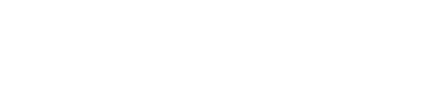 QUANTUM MAX OS Name